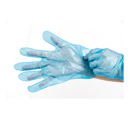 LDPE Disposable Gloves, Case of 10000